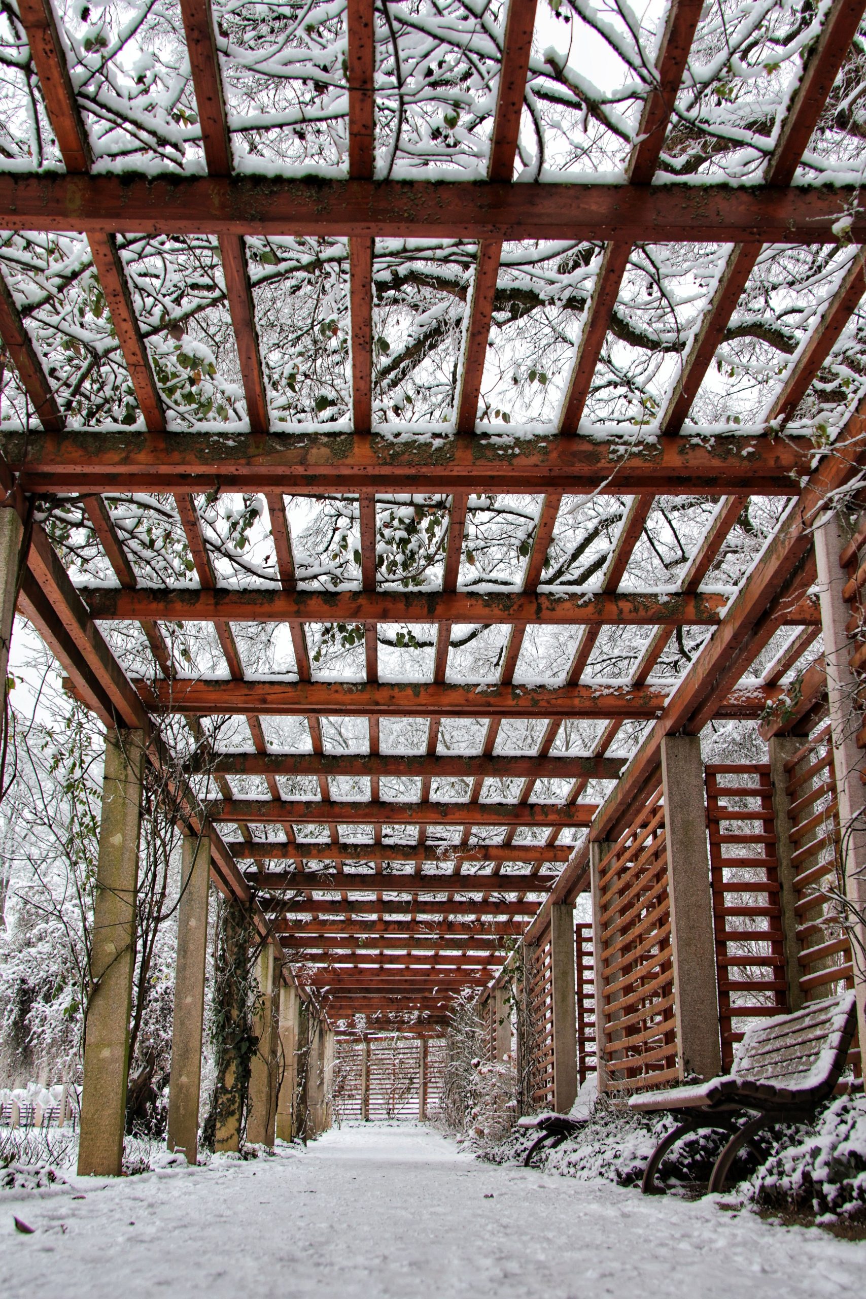Pergola imperméabilisée protection pluie
