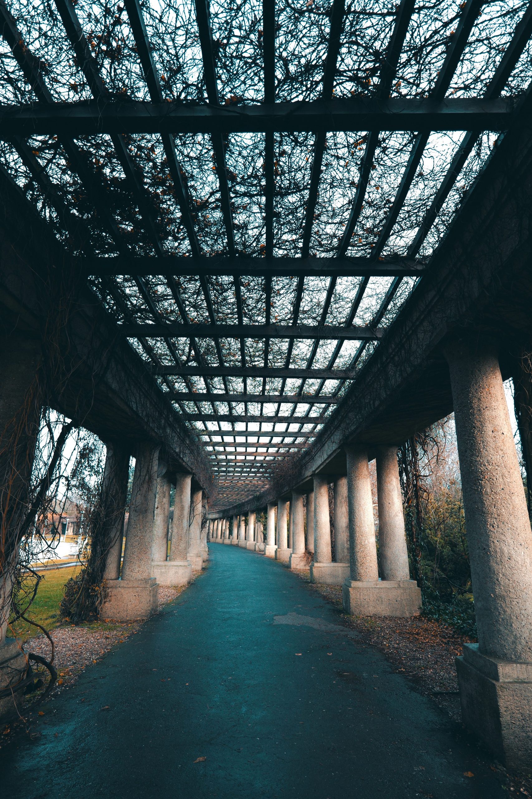 Protection pluie pergola couverture