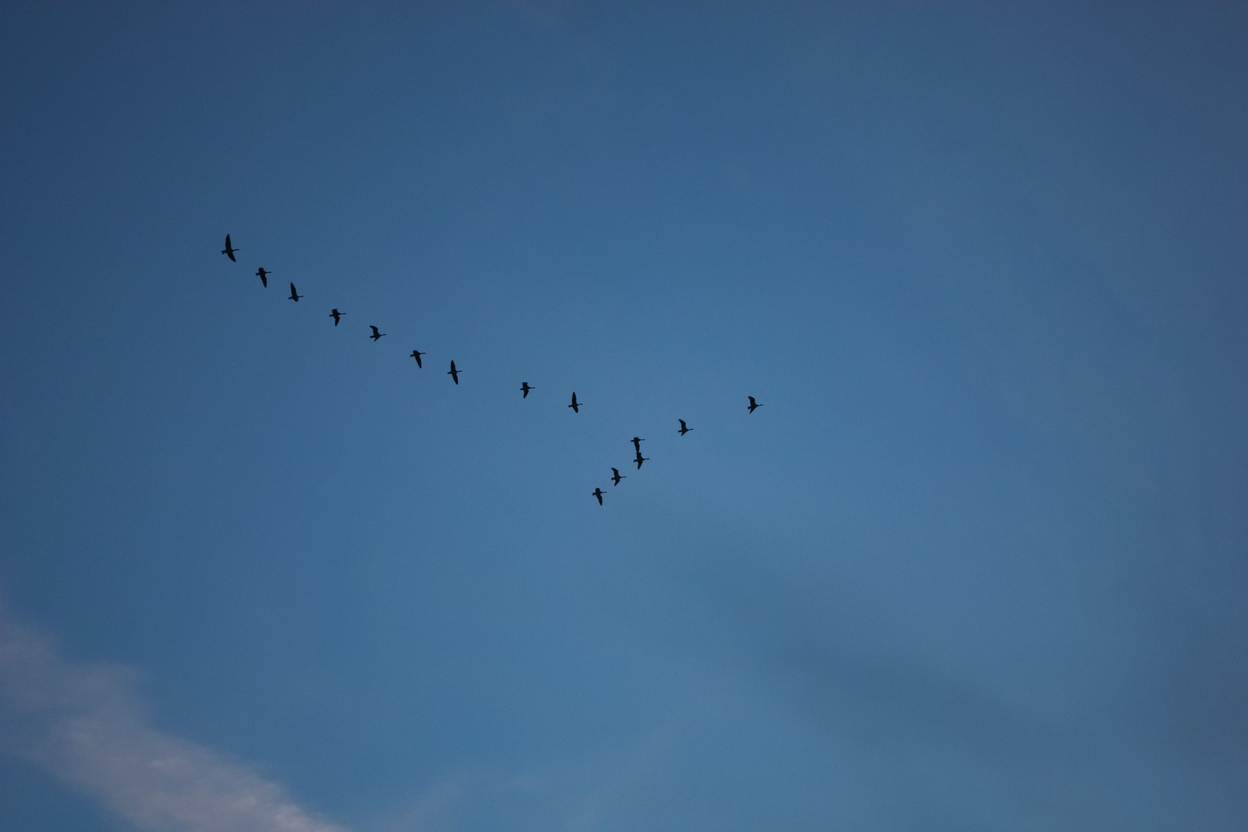 Combien de temps pour la formation du bistre dans une cheminée