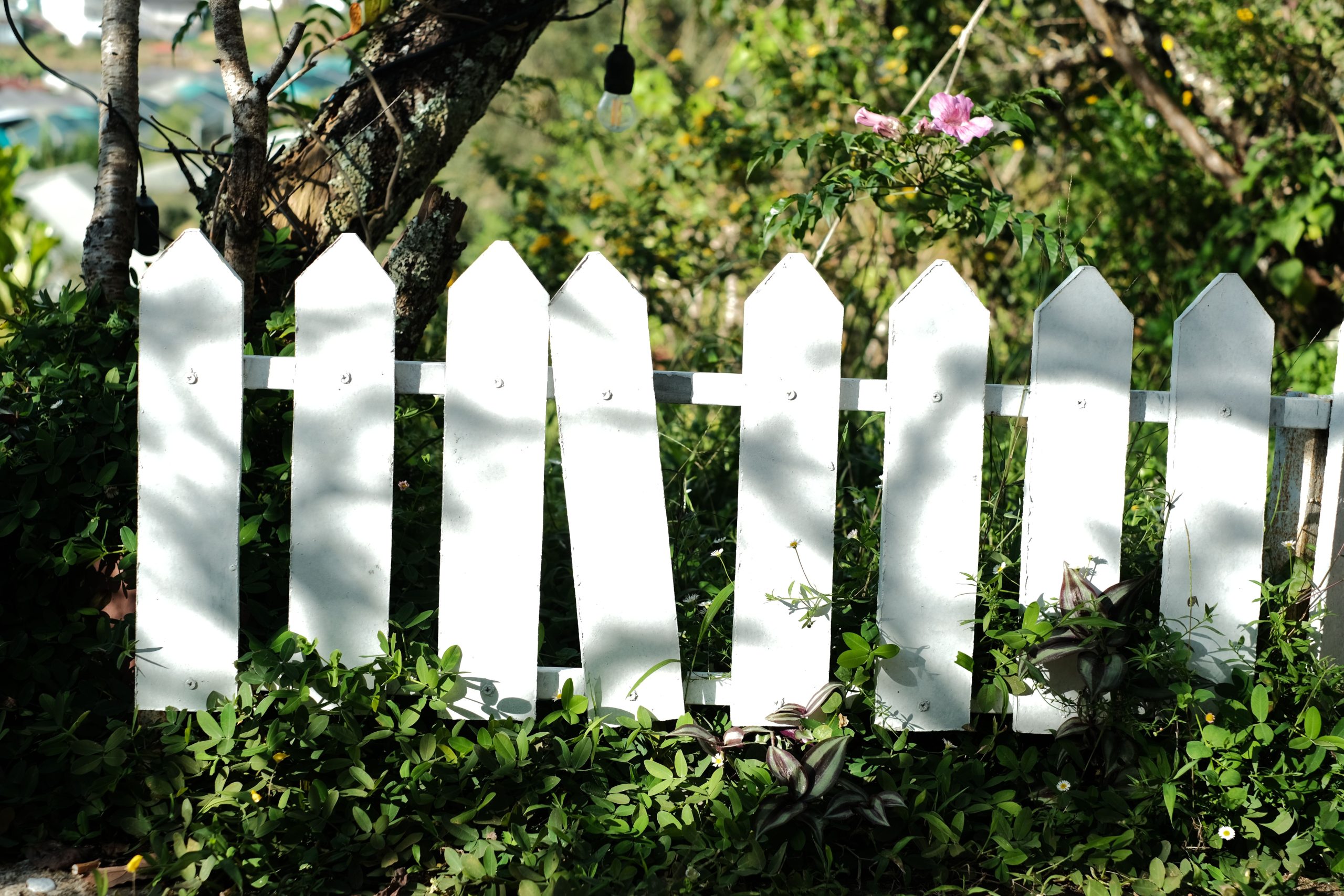 Solutions économiques et budgétaires pour clôturer son jardin