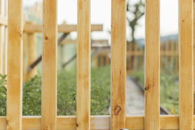 A serene garden scene with a wooden fence and metal watering can, perfect for gardening themes. Une scène de jardin sereine avec une clôture en bois et un arrosoir métallique, parfait pour les thèmes de jardinage.