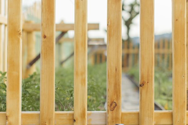 A serene garden scene with a wooden fence and metal watering can, perfect for gardening themes. Une scène de jardin sereine avec une clôture en bois et un arrosoir métallique, parfait pour les thèmes de jardinage.