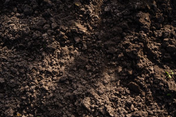 Vue détaillée d'un sol fraîchement labouré, parfait pour la plantation en agriculture et jardinage.