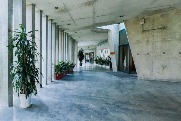 Couloir en béton lumineux avec plantes d'intérieur et architecture géométrique, idéal pour le design de bureau moderne.