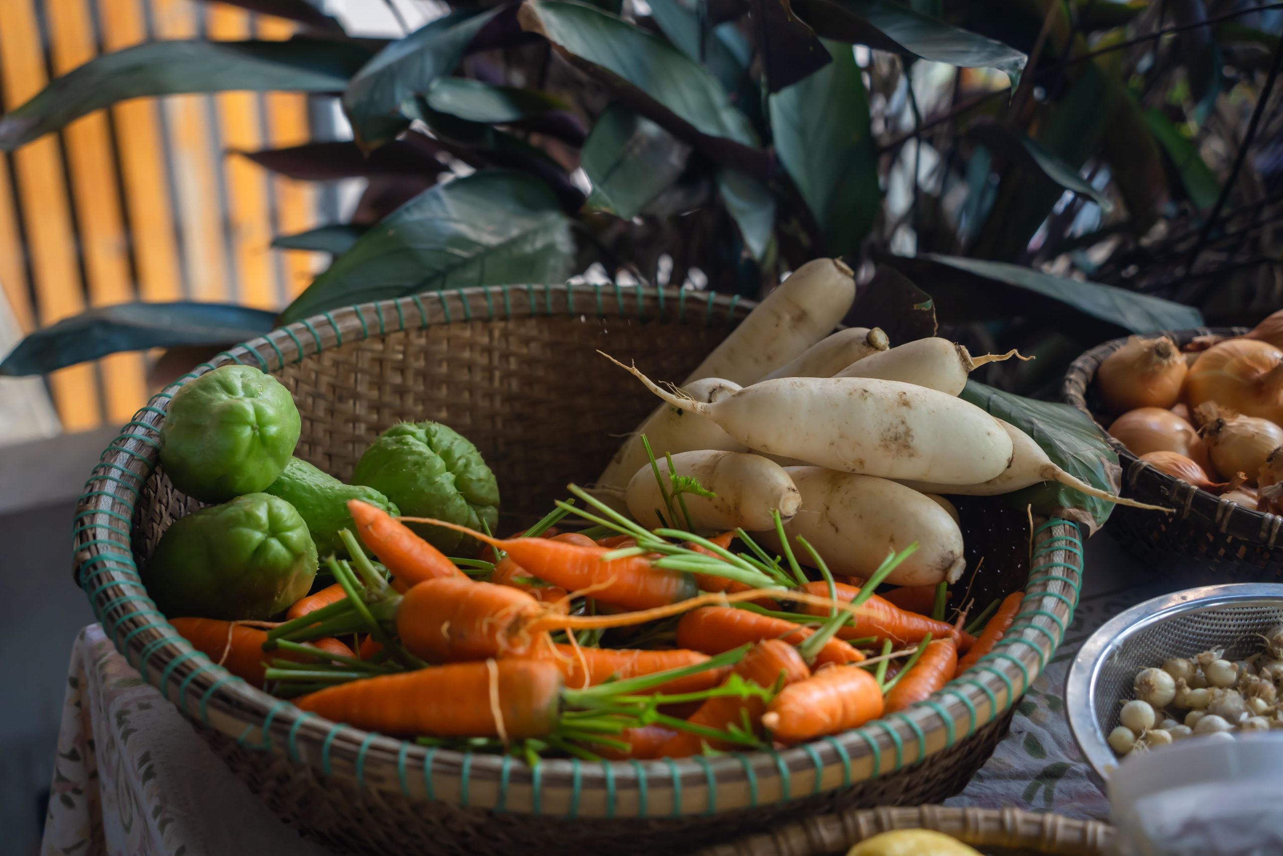 Récolte de légumes d automne carottes et radis