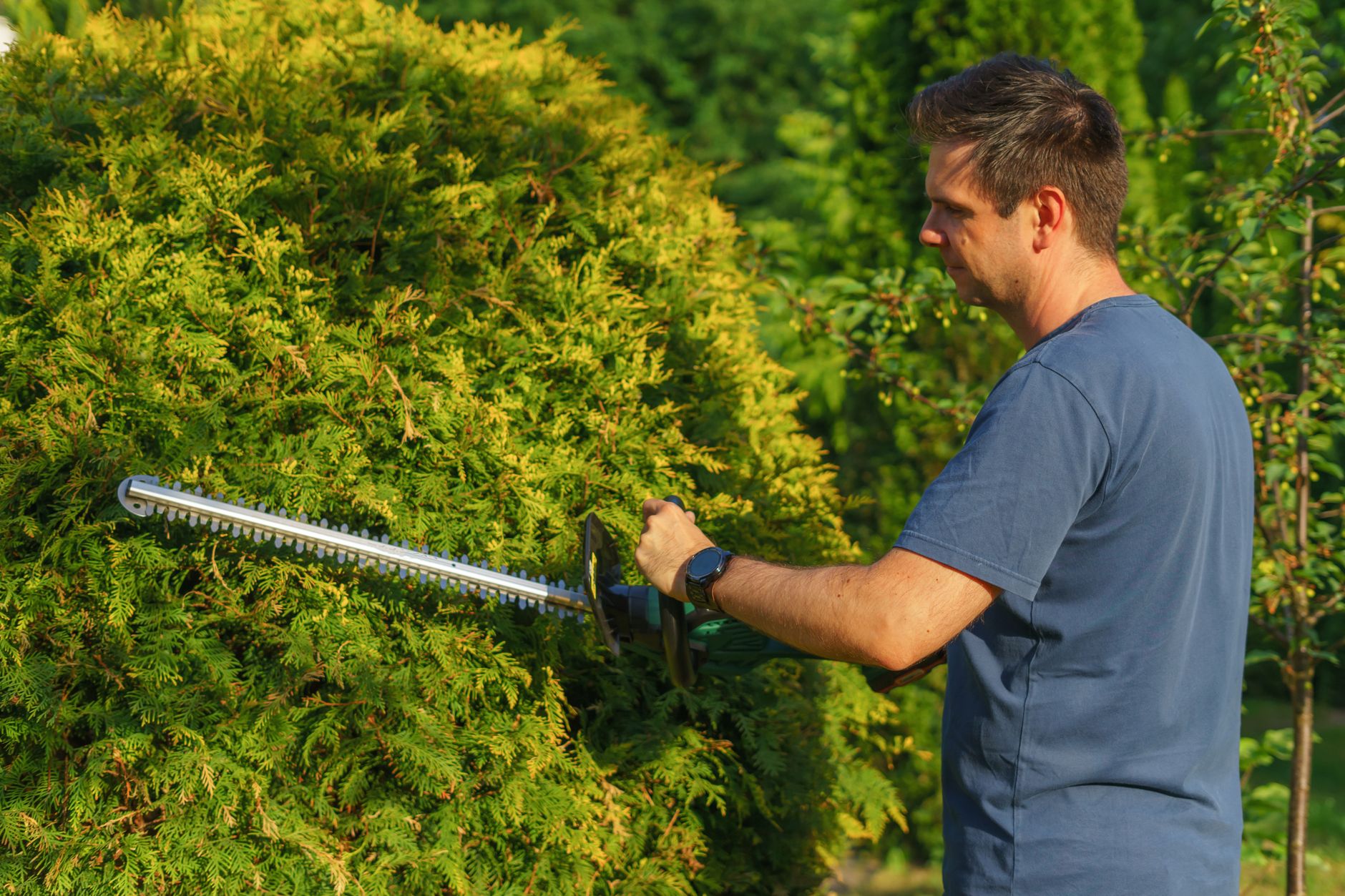 Coupe précise au taille-haie sur une haie de jardin