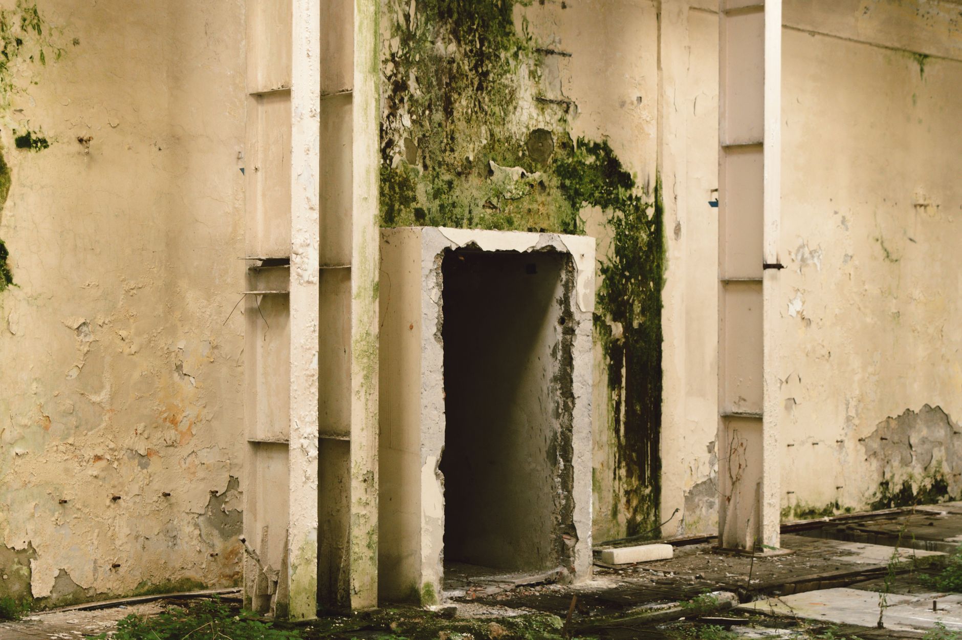 Façade et entrée d’un bâtiment aux murs dégradés